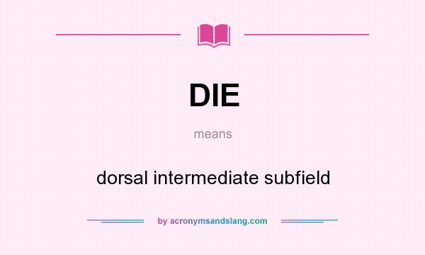 What does DIE mean? It stands for dorsal intermediate subfield