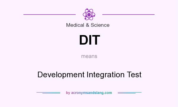 What does DIT mean? It stands for Development Integration Test