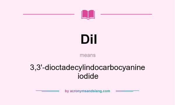 What does DiI mean? It stands for 3,3`-dioctadecylindocarbocyanine iodide