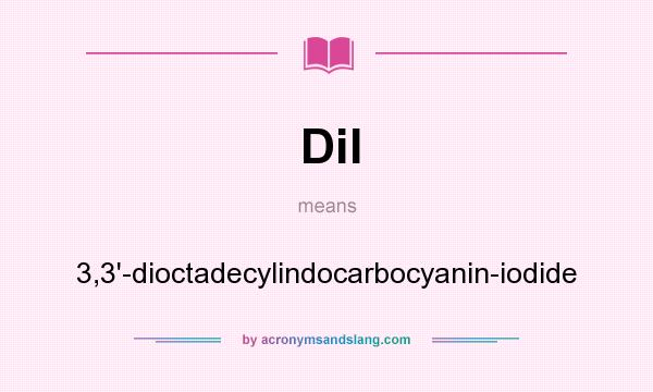 What does DiI mean? It stands for 3,3`-dioctadecylindocarbocyanin-iodide