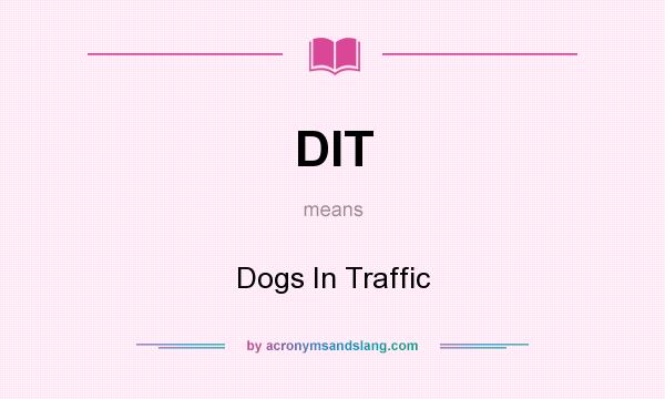 What does DIT mean? It stands for Dogs In Traffic