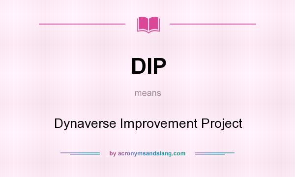 What does DIP mean? It stands for Dynaverse Improvement Project