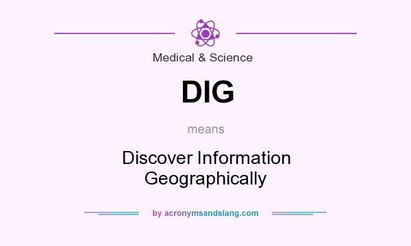 What does DIG mean? It stands for Discover Information Geographically
