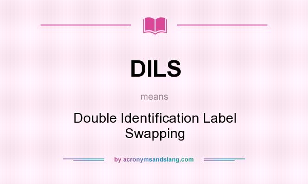 What does DILS mean? It stands for Double Identification Label Swapping