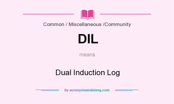 What does DIL mean? It stands for Dual Induction Log