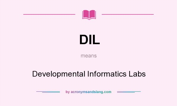 What does DIL mean? It stands for Developmental Informatics Labs