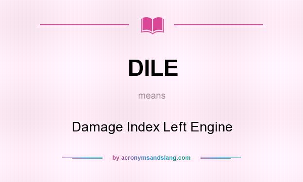 What does DILE mean? It stands for Damage Index Left Engine