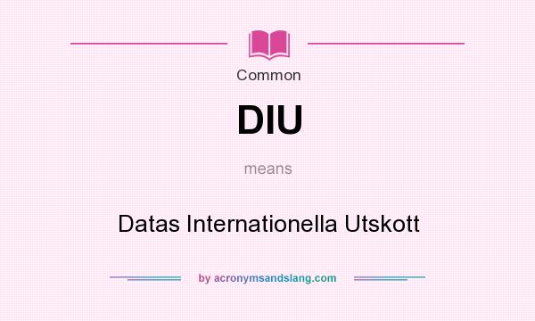 What does DIU mean? It stands for Datas Internationella Utskott