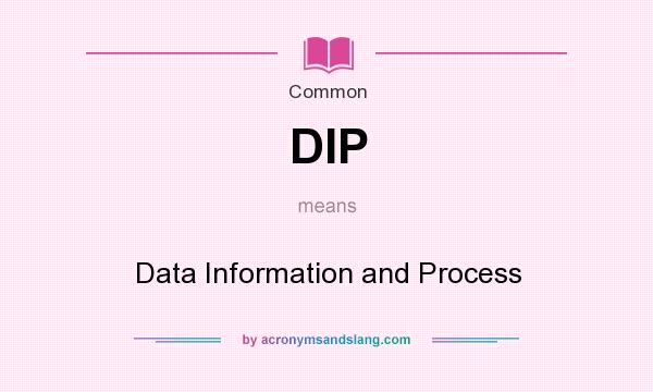 What does DIP mean? It stands for Data Information and Process