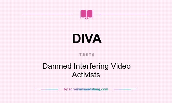 What does DIVA mean? It stands for Damned Interfering Video Activists