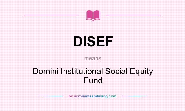 What does DISEF mean? It stands for Domini Institutional Social Equity Fund