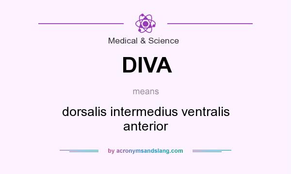 What does DIVA mean? It stands for dorsalis intermedius ventralis anterior