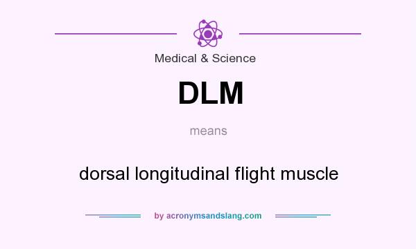 What does DLM mean? It stands for dorsal longitudinal flight muscle