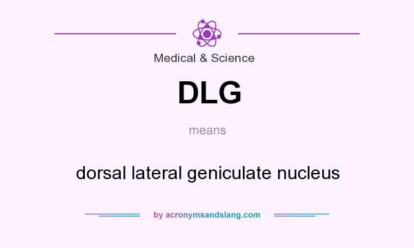 What does DLG mean? It stands for dorsal lateral geniculate nucleus