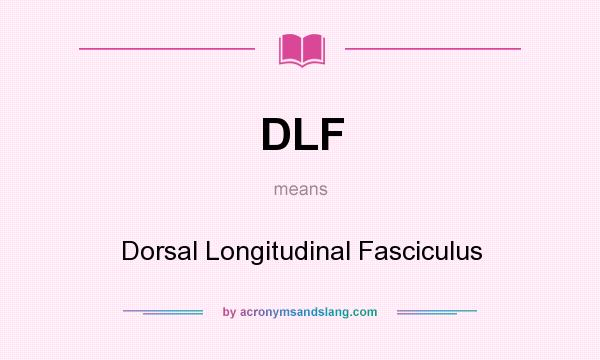 What does DLF mean? It stands for Dorsal Longitudinal Fasciculus