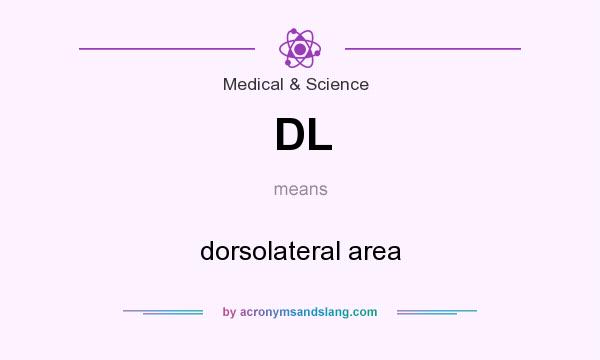 What does DL mean? It stands for dorsolateral area