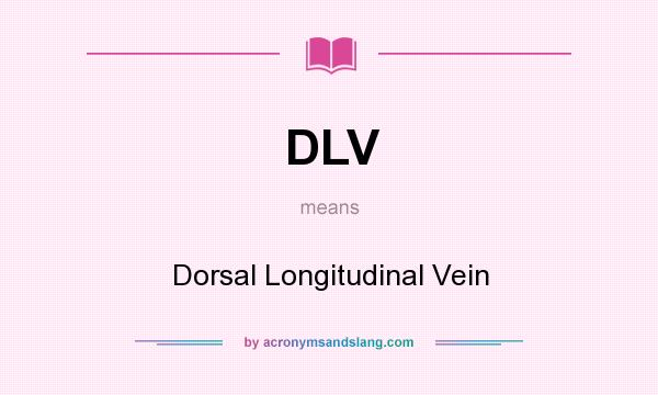 What does DLV mean? It stands for Dorsal Longitudinal Vein