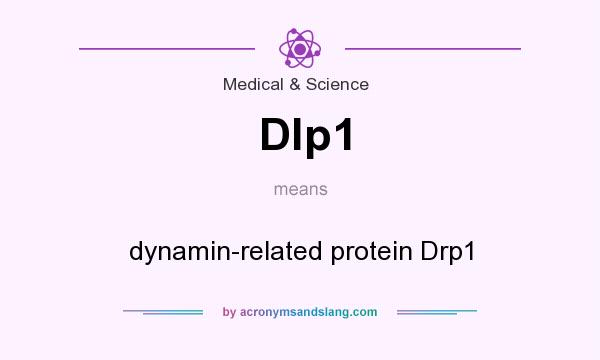 What does Dlp1 mean? It stands for dynamin-related protein Drp1