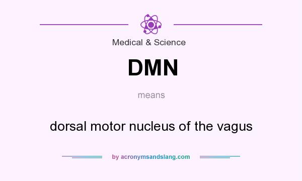 What does DMN mean? It stands for dorsal motor nucleus of the vagus