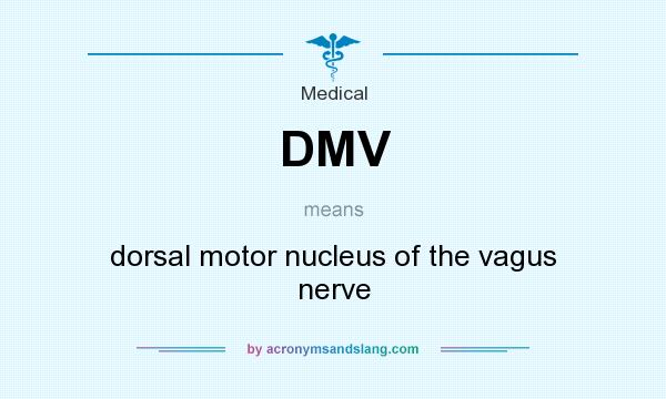 What does DMV mean? It stands for dorsal motor nucleus of the vagus nerve