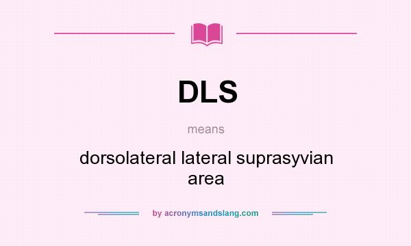 What does DLS mean? It stands for dorsolateral lateral suprasyvian area