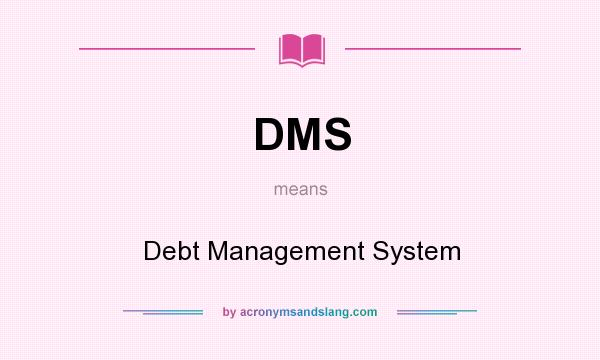 What does DMS mean? It stands for Debt Management System
