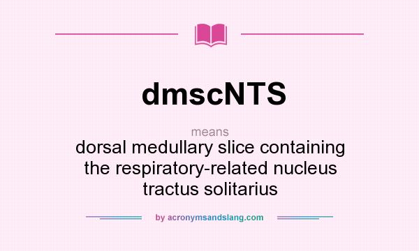 What does dmscNTS mean? It stands for dorsal medullary slice containing the respiratory-related nucleus tractus solitarius