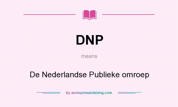 What does DNP mean? It stands for De Nederlandse Publieke omroep