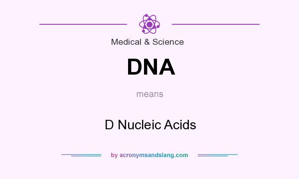 What does DNA mean? It stands for D Nucleic Acids