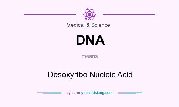 What does DNA mean? It stands for Desoxyribo Nucleic Acid