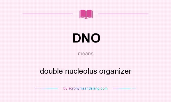 What does DNO mean? It stands for double nucleolus organizer