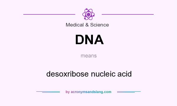 What does DNA mean? It stands for desoxribose nucleic acid
