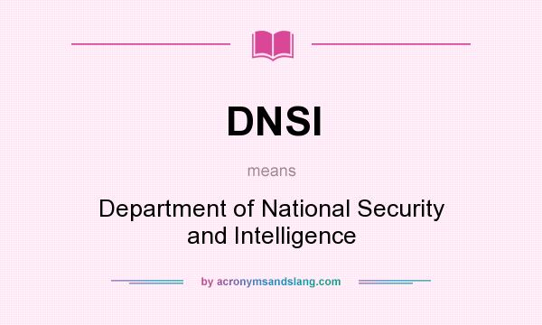 What does DNSI mean? It stands for Department of National Security and Intelligence