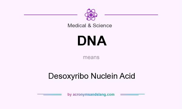 What does DNA mean? It stands for Desoxyribo Nuclein Acid