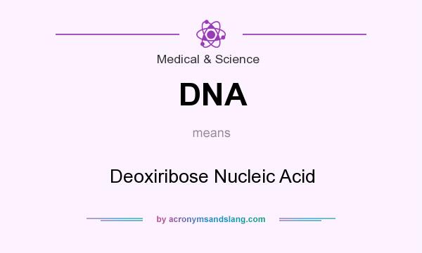 What does DNA mean? It stands for Deoxiribose Nucleic Acid
