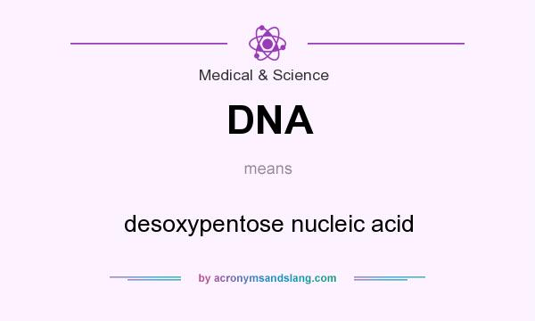 What does DNA mean? It stands for desoxypentose nucleic acid