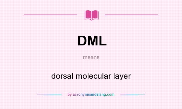 What does DML mean? It stands for dorsal molecular layer