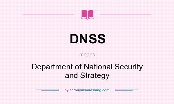 What does DNSS mean? It stands for Department of National Security and Strategy