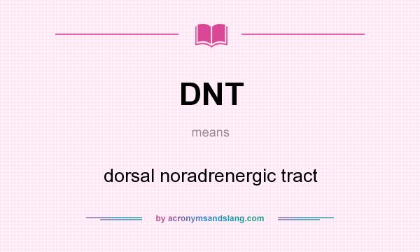 What does DNT mean? It stands for dorsal noradrenergic tract
