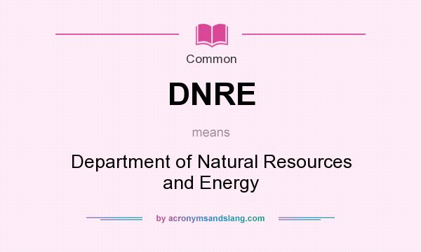 What does DNRE mean? It stands for Department of Natural Resources and Energy