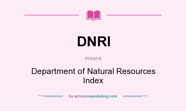 What does DNRI mean? It stands for Department of Natural Resources Index