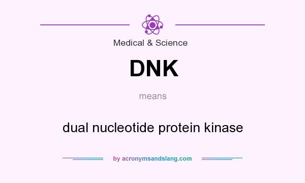 What does DNK mean? It stands for dual nucleotide protein kinase