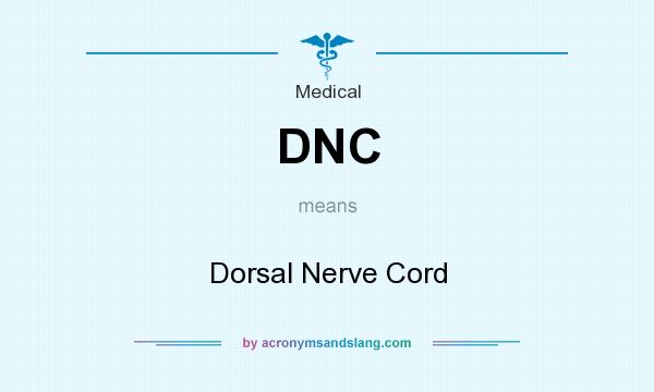 What does DNC mean? It stands for Dorsal Nerve Cord