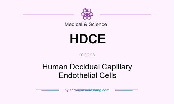 What does HDCE mean? It stands for Human Decidual Capillary Endothelial Cells