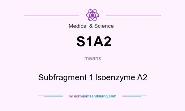 What does S1A2 mean? It stands for Subfragment 1 Isoenzyme A2