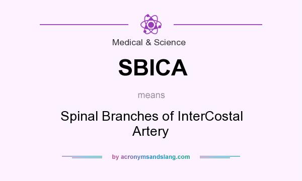 What does SBICA mean? It stands for Spinal Branches of InterCostal Artery