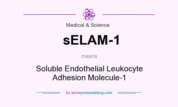 What does sELAM-1 mean? It stands for Soluble Endothelial Leukocyte Adhesion Molecule-1