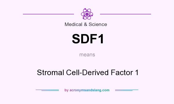 What does SDF1 mean? It stands for Stromal Cell-Derived Factor 1
