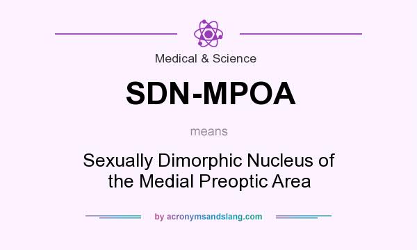 What does SDN-MPOA mean? It stands for Sexually Dimorphic Nucleus of the Medial Preoptic Area