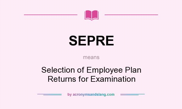 What does SEPRE mean? It stands for Selection of Employee Plan Returns for Examination